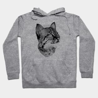 Bobcat cub Hoodie